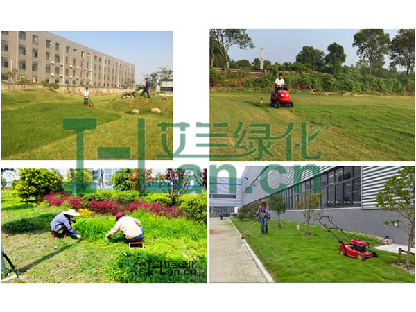 城市园林绿化的重点有哪些？